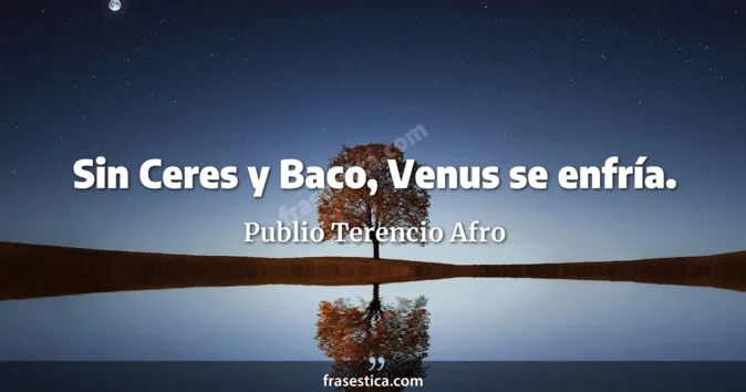 Cita de Publio Terencio Afro