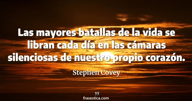Cita de Stephen Covey