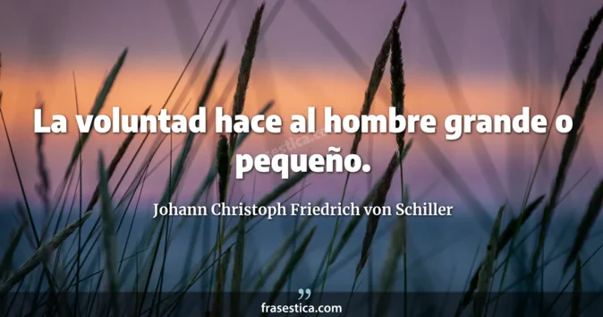 Cita de Johann Christoph Friedrich von Schiller