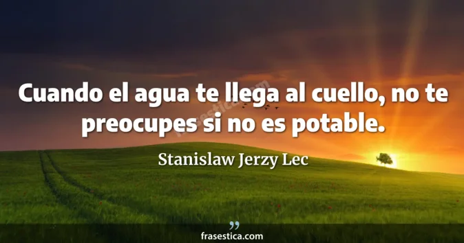 Cita de Stanislaw Jerzy Lec