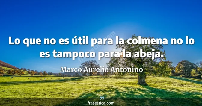 Cita de Marco Aurelio Antonino
