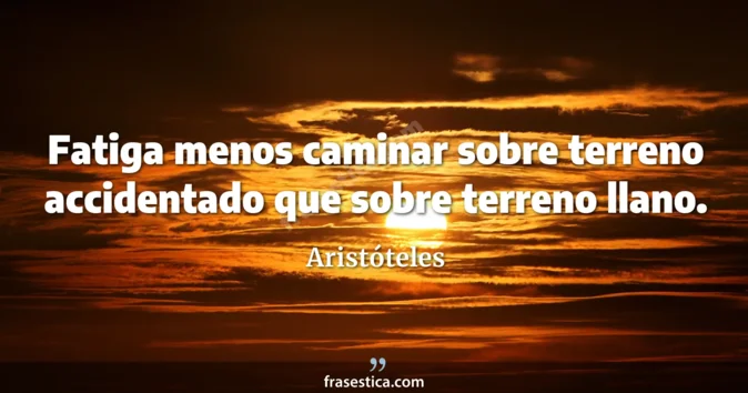 Cita de Aristóteles