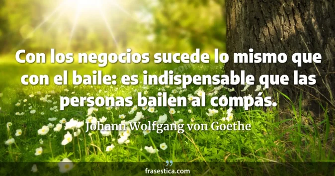 Cita de Johann Wolfgang von Goethe