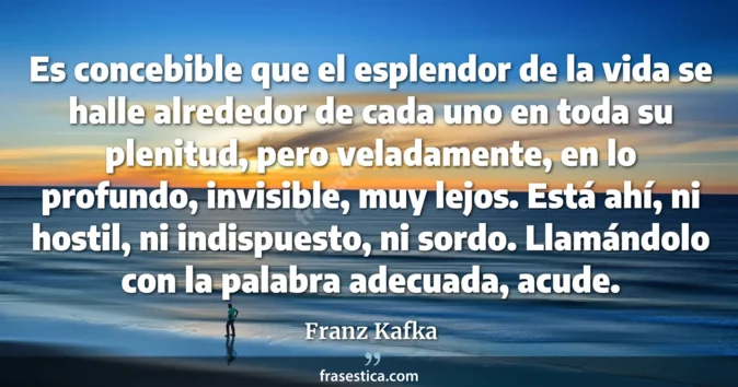 Cita de Franz Kafka