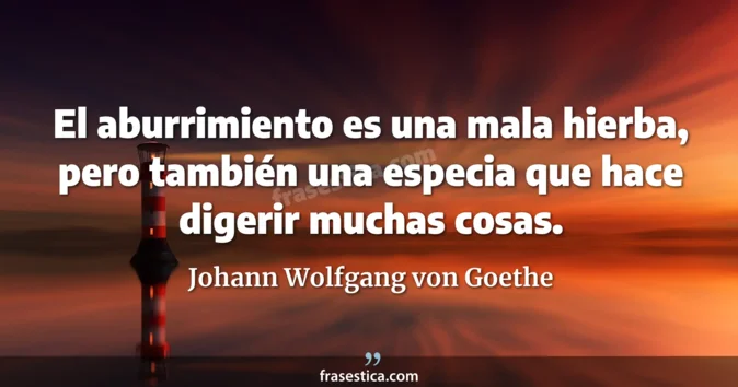 Cita de Johann Wolfgang von Goethe