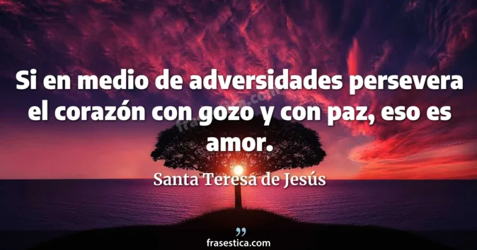 Cita de Santa Teresa de Jesús