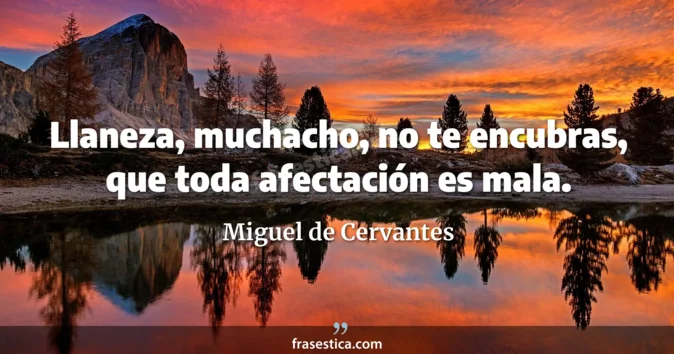 Cita de Miguel de Cervantes