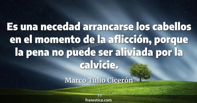 Cita de Marco Tulio Cicerón