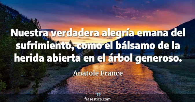 Cita de Anatole France
