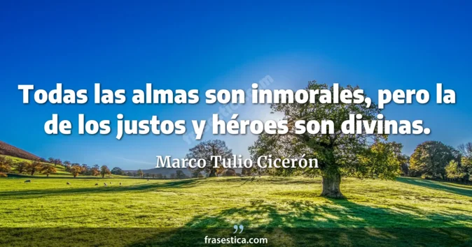 Cita de Marco Tulio Cicerón
