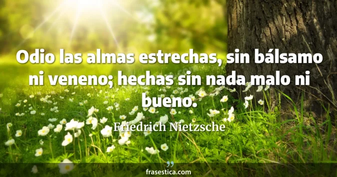 Cita de Friedrich Nietzsche