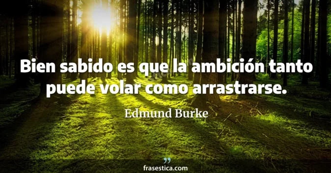 Cita de Edmund Burke