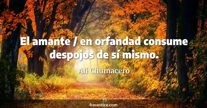 Cita de Alí Chumacero
