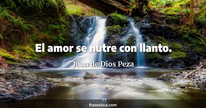 Cita de Juan de Dios Peza