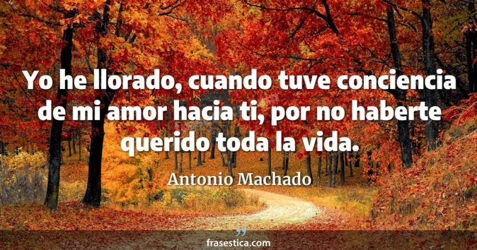 Cita de Antonio Machado