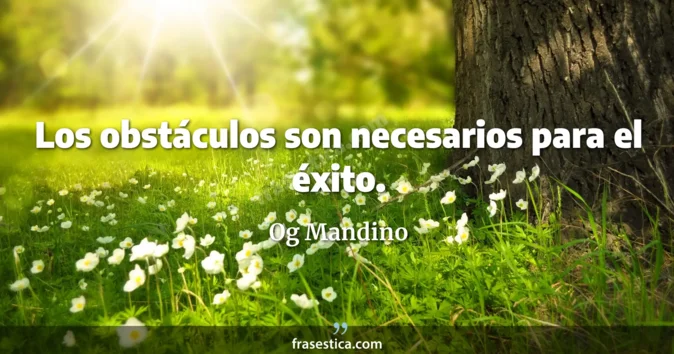 Cita de Og Mandino