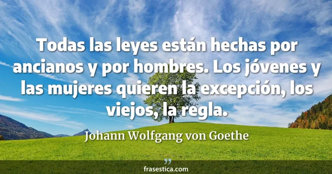 Cita de Johann Wolfgang von Goethe