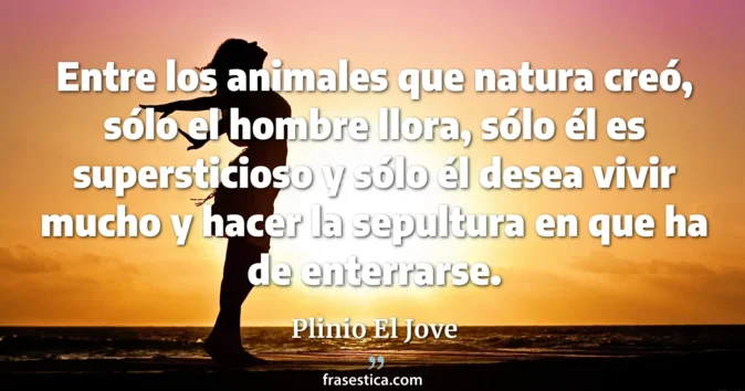 Cita de Plinio El Jove