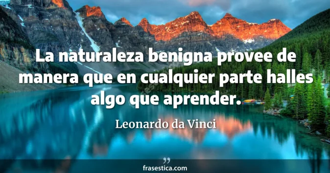 Cita de Leonardo da Vinci