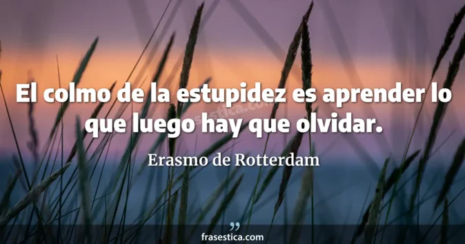 Cita de Erasmo de Rotterdam