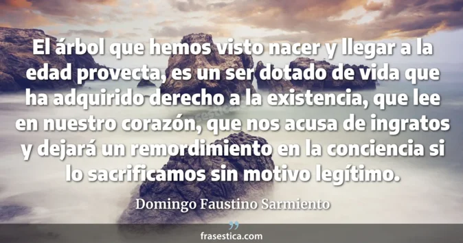 Cita de Domingo Faustino Sarmiento
