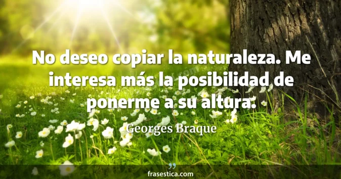 Cita de Georges Braque