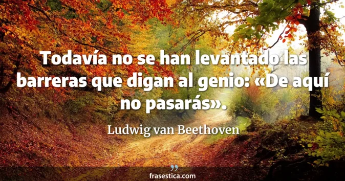 Cita de Ludwig van Beethoven