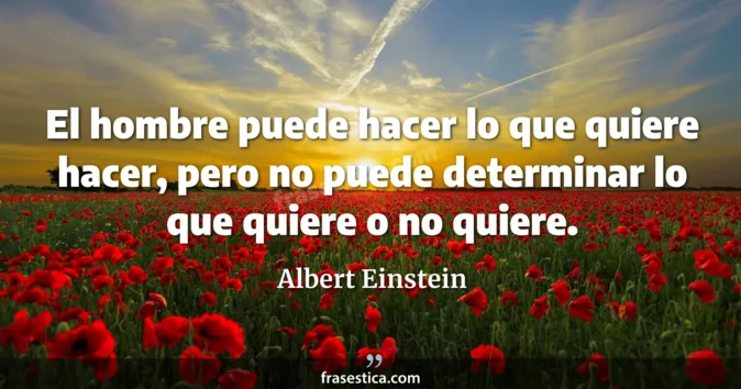 Cita de Albert Einstein