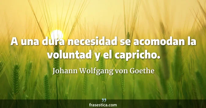 Cita de Johann Wolfgang von Goethe