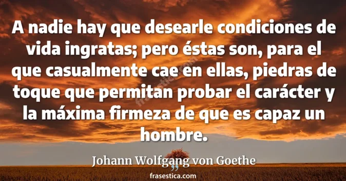 Cita de Johann Wolfgang von Goethe