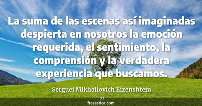 Cita de Serguei Mikhailovich Eizenshtein