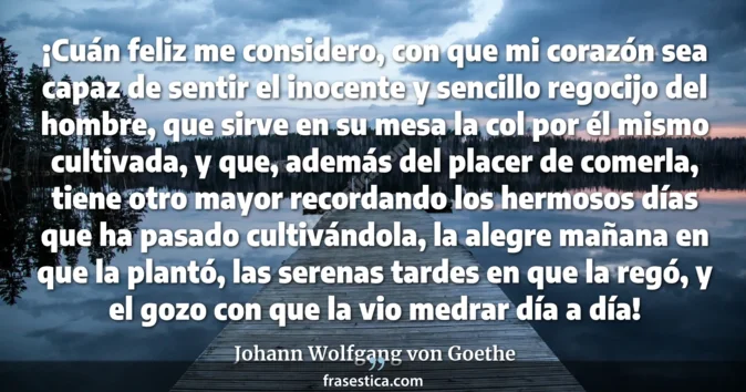 Cita de Johann Wolfgang von Goethe