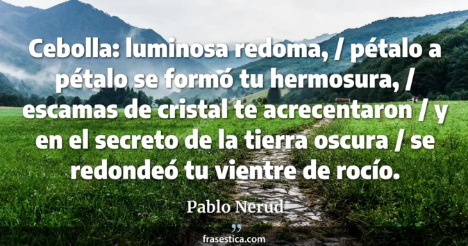 Cita de Pablo Nerud