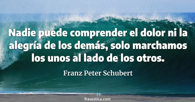 Cita de Franz Peter Schubert