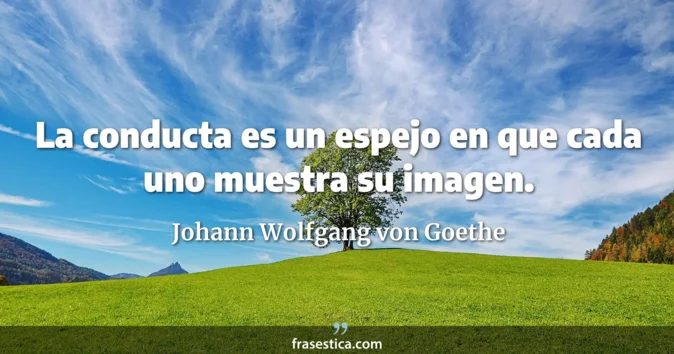 Cita de Johann Wolfgang von Goethe