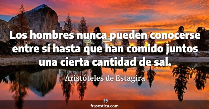 Cita de Aristóteles de Estagira