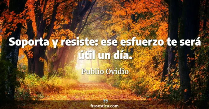 Cita de Publio Ovidio