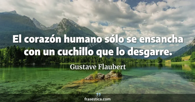 Cita de Gustave Flaubert