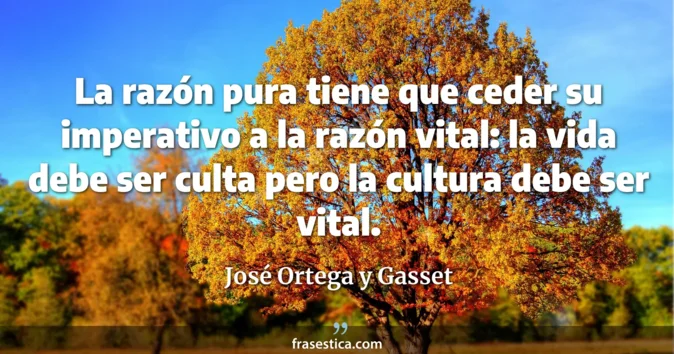 Cita de José Ortega y Gasset