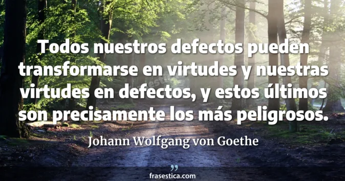 Cita de Johann Wolfgang von Goethe