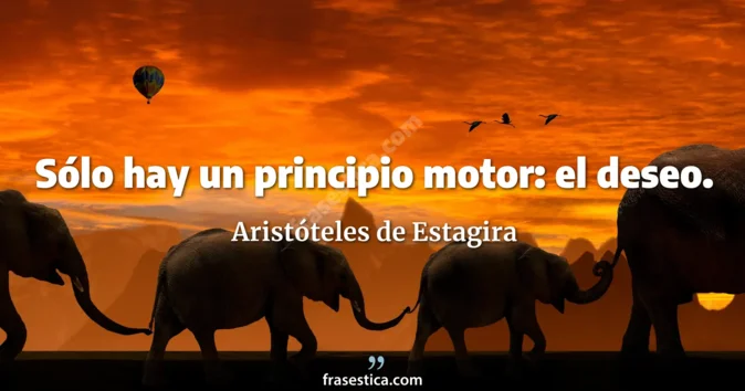 Cita de Aristóteles de Estagira
