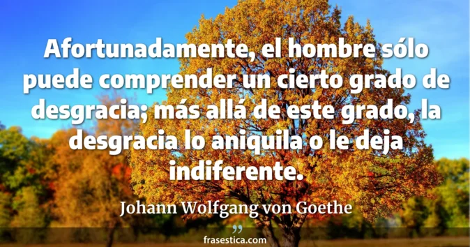 Cita de Johann Wolfgang von Goethe