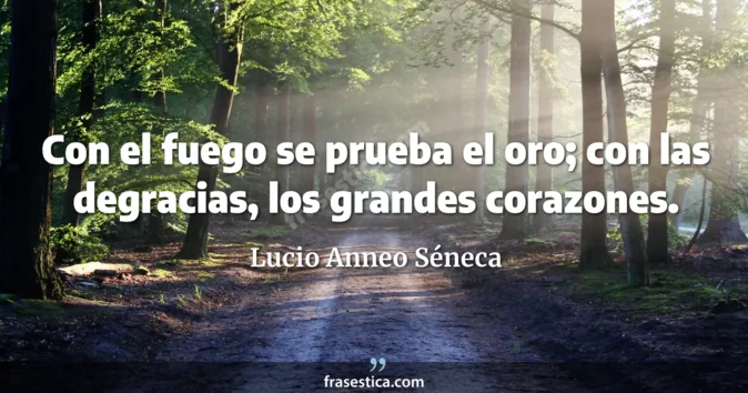 Cita de Lucio Anneo Séneca