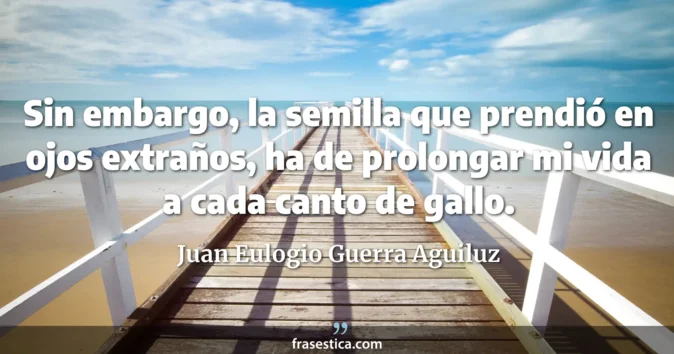 Cita de Juan Eulogio Guerra Aguiluz