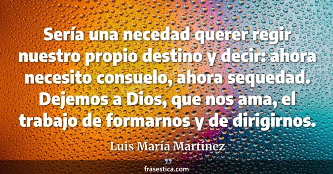 Cita de Luis María Martínez