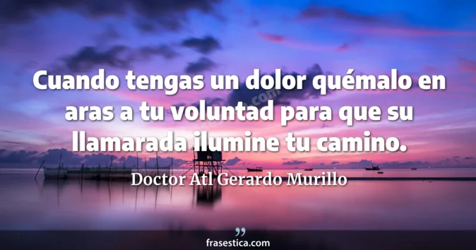 Cita de Doctor Atl Gerardo Murillo