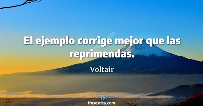 Cita de Voltair