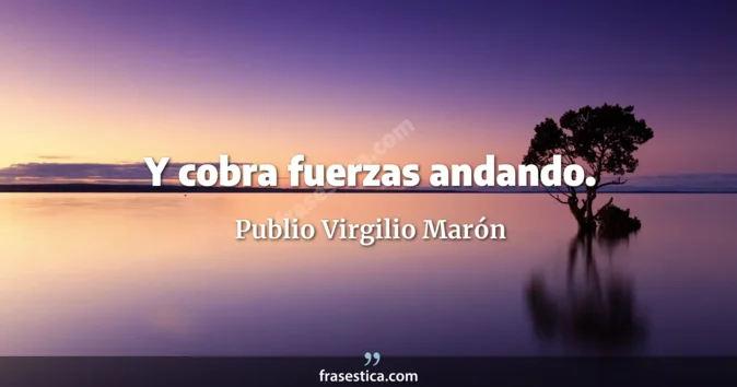 Cita de Publio Virgilio Marón