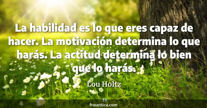 Cita de Lou Holtz