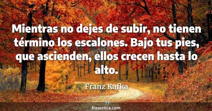 Cita de Franz Kafka
